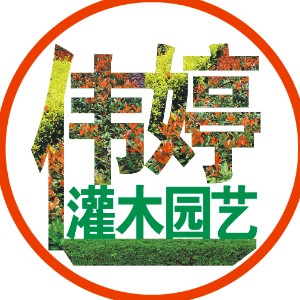 佛山伟氏苗木园艺