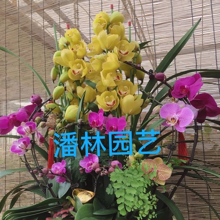 佛山市潘林园艺
