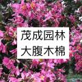 佛山市茂成园林
