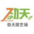 广州市荔湾区劲天园艺场