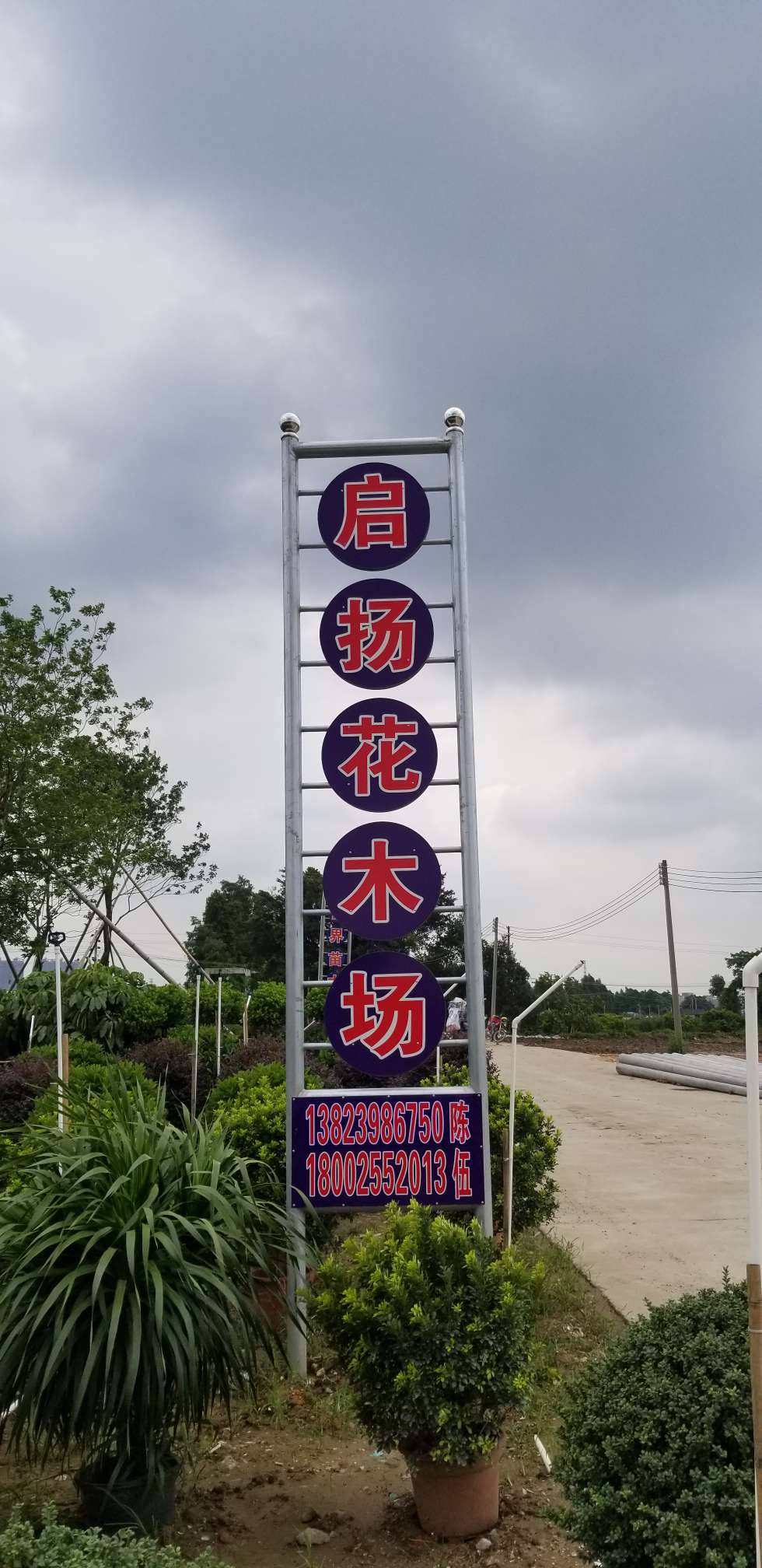 启扬花木场