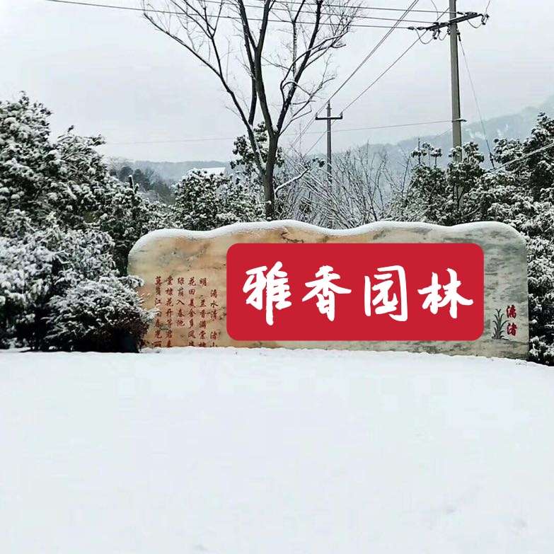 浙江雅香
