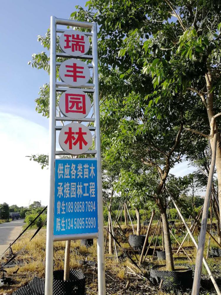 中山市春悦园林花木有限公司