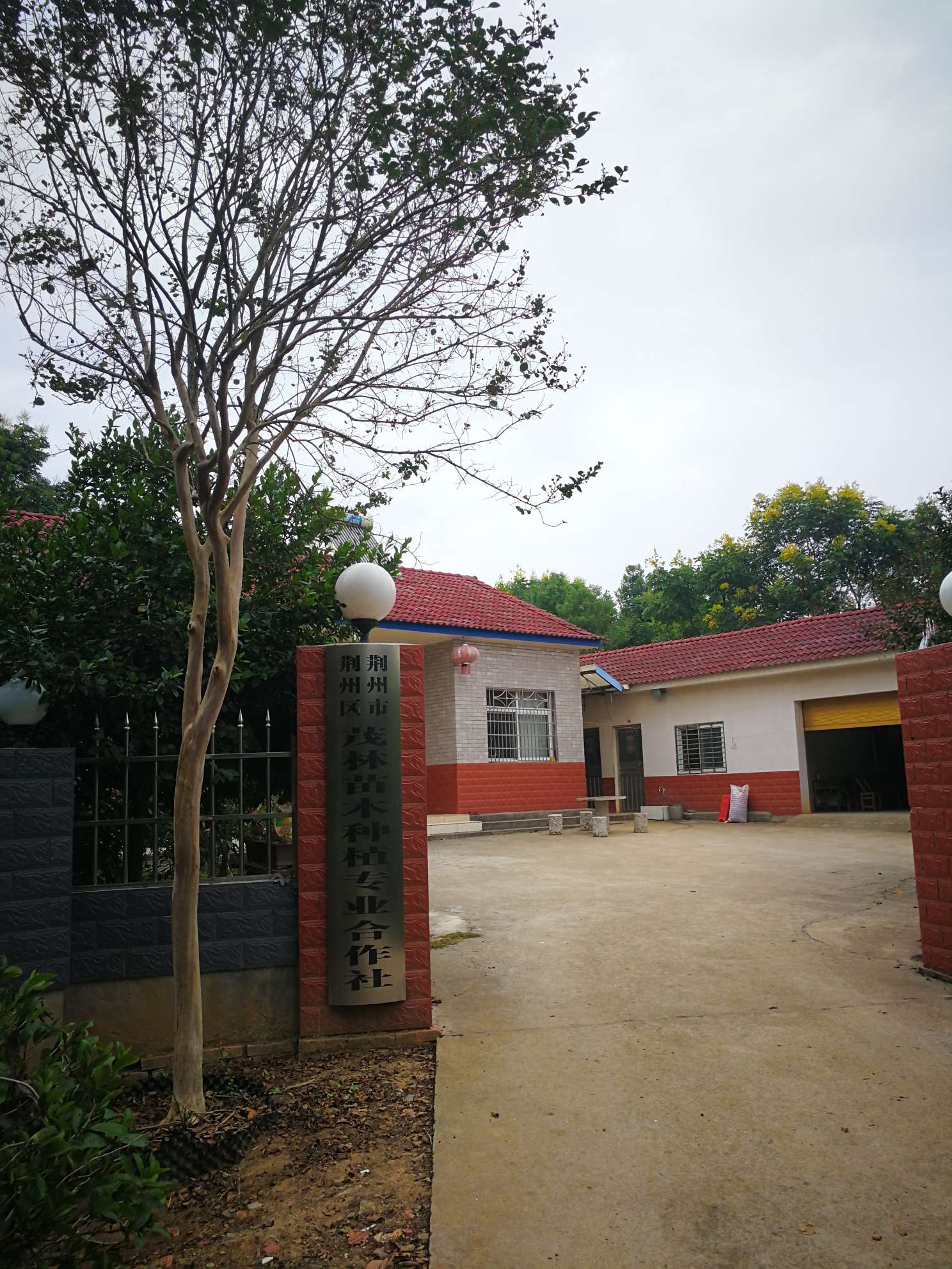 荆州市荆州区茂林苗木种植专业合作社