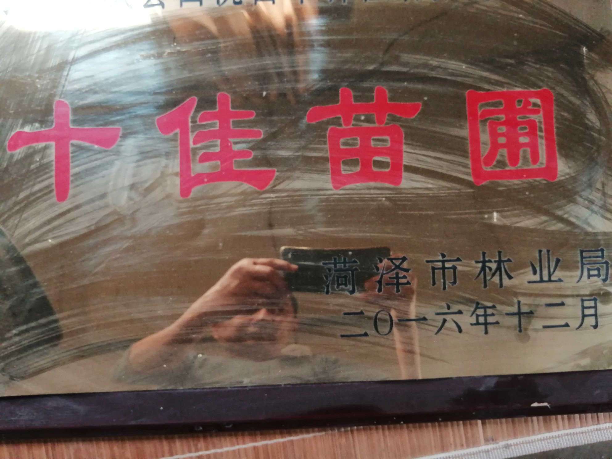 佳木苗木种植有限公司