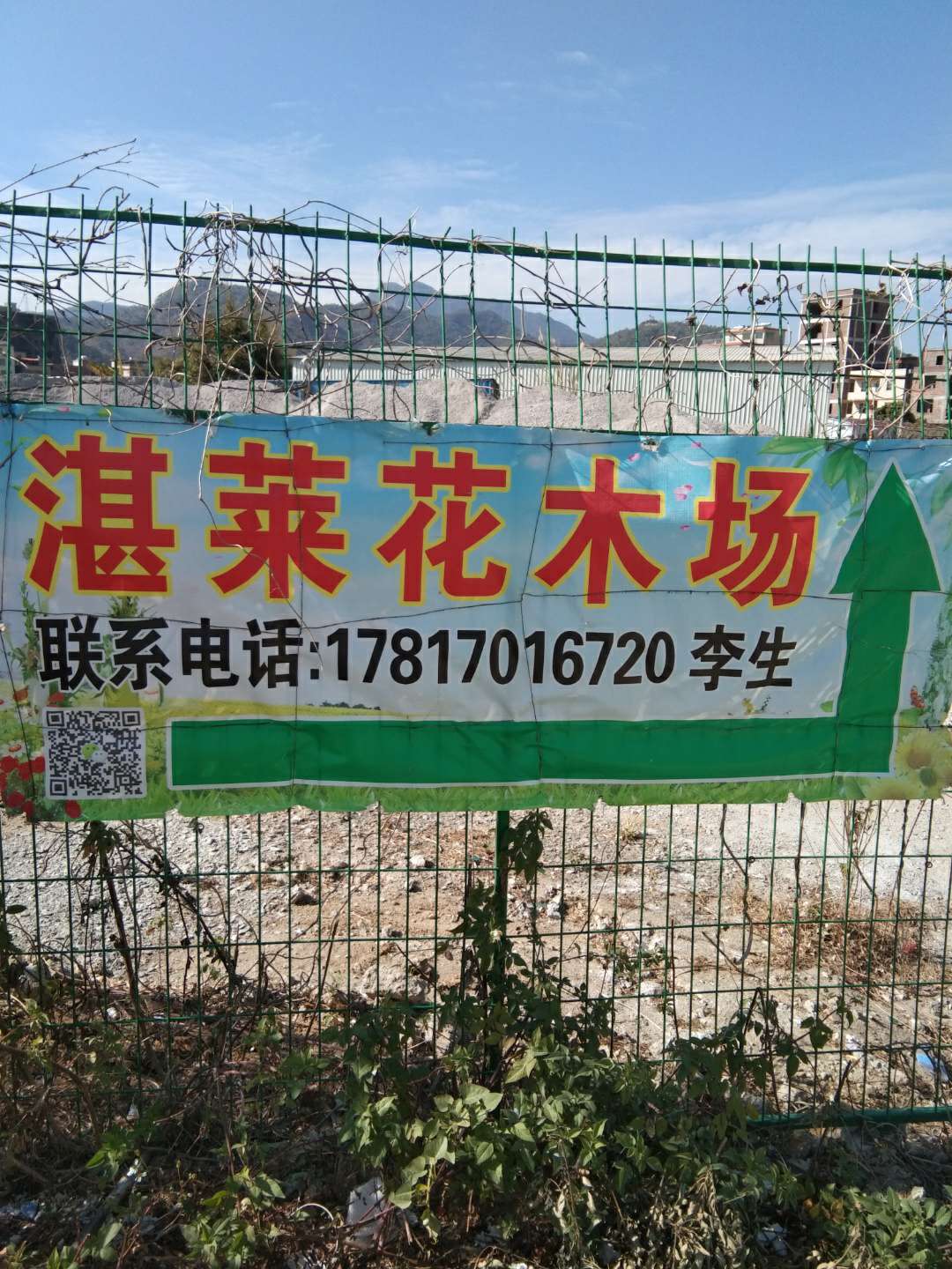 湛莱花木场