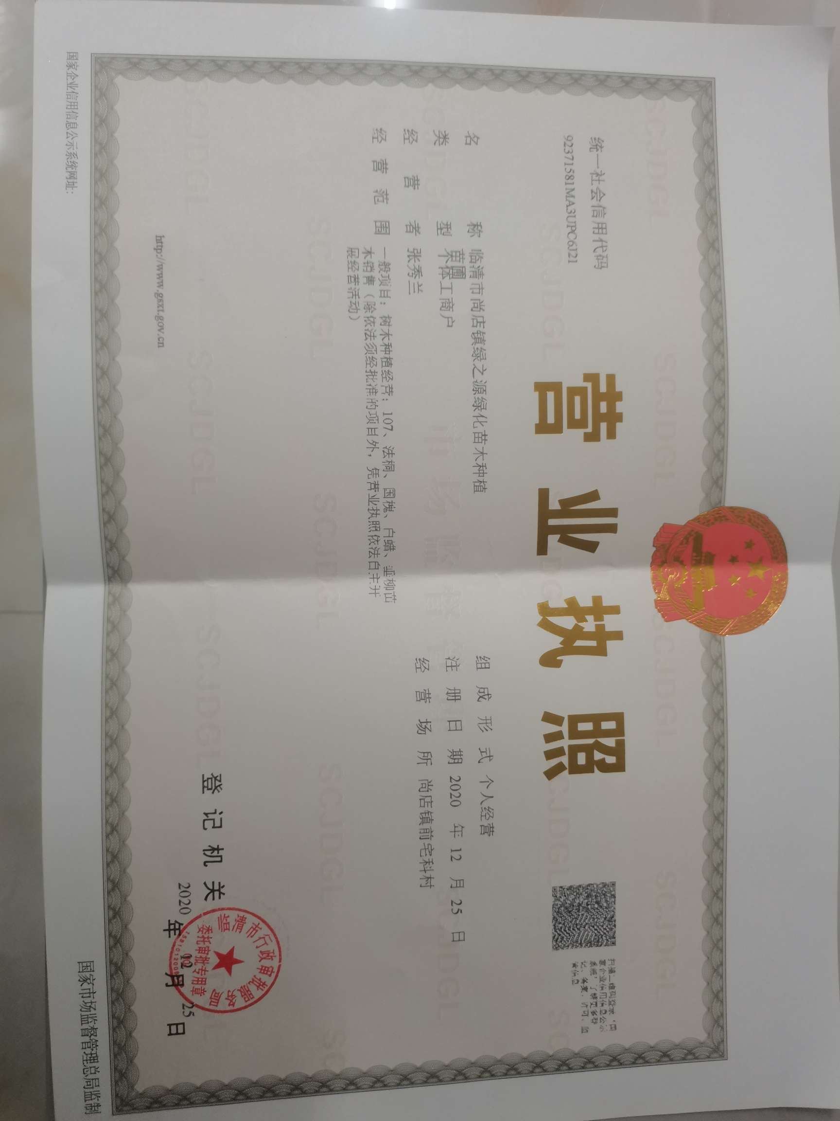 临清绿之源107速生杨无飞絮杨繁育基地