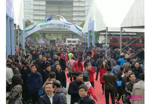 第27届中国（长沙）兰花博览会成果丰硕