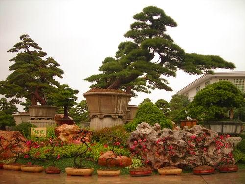买花赏景赏文化 休闲观光全新体验