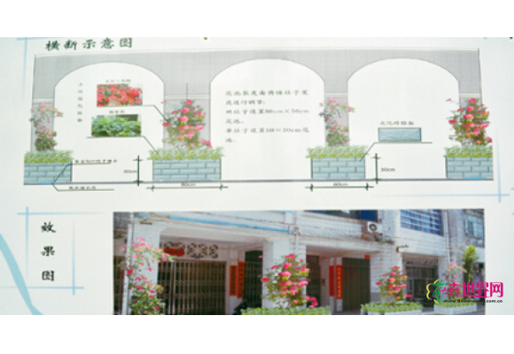 广西:北海试点景观改造 重振老街风貌 广西:北海试点景观改造 重振老街风貌