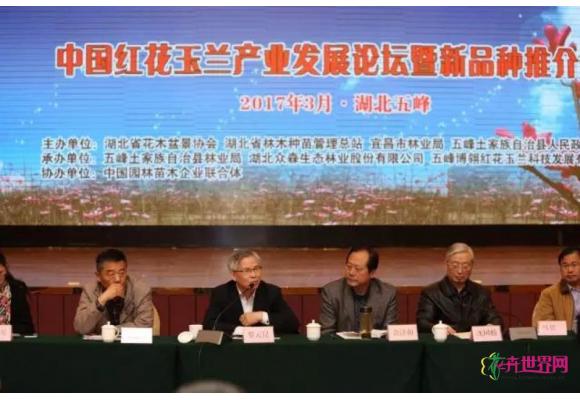 中国红花玉兰产业发展论坛暨新品种推介会在湖北召开 中国红花玉兰产业发展论坛暨新品种推介会在湖北召开