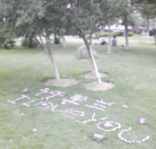 三门：小伙子摘花表爱意 百余朵鲜花被摧残（图）