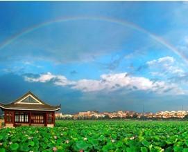 东莞桥头镇举办第七届荷花文化艺术节（组图）