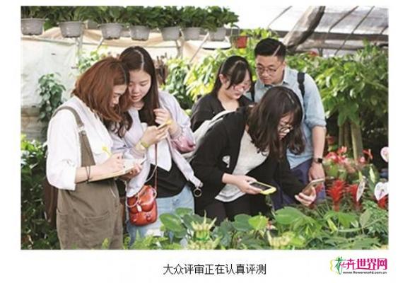 流行植物识别软件测评 植物识别哪家强 流行植物识别软件测评 植物识别哪家强