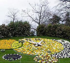 瑞士日内瓦—以美不胜收的花卉展览闻名于世的“花都”