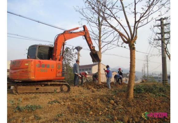 福建厦门：园林绿化施工企业信用评价出炉 