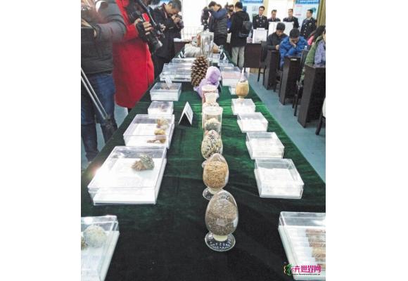 长沙今年已截获违法邮寄进境种子18.3万粒、苗木1495株
