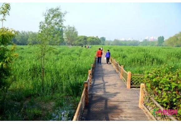 北京:五年造林植出110个“奥森” 北京:五年造林植出110个“奥森”