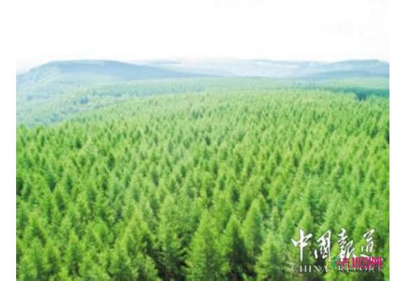 承德:新增造林绿化63.79万亩 承德:新增造林绿化63.79万亩