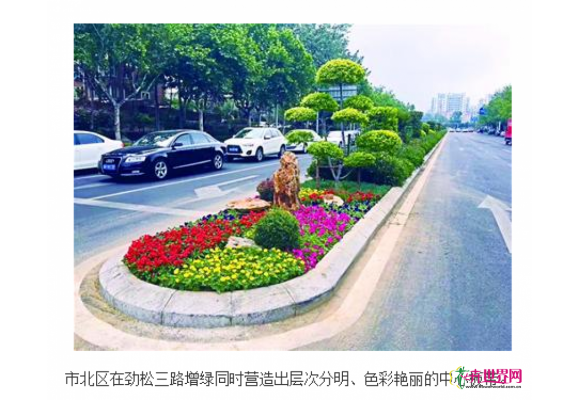 青岛：黄土穿“绿衣”种花补苗造景观