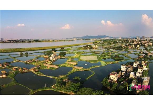 广东江门要打造国内一流的国家湿地公园 广东江门要打造国内一流的国家湿地公园