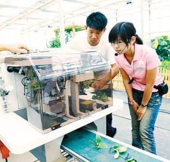 天津杨柳青园艺博览园正式开放 园艺苗木自动嫁接