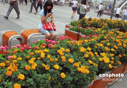 图：北京街头上亿株鲜花迎残奥会