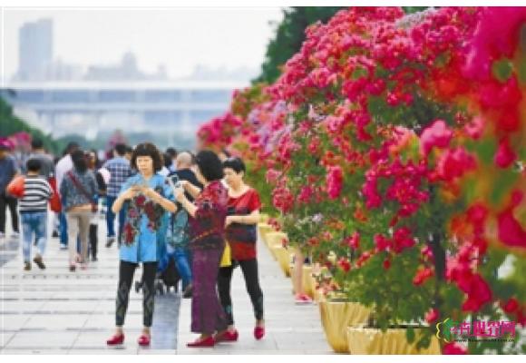 深圳第十届公园文化节正式拉开帷幕