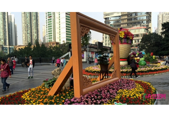 重庆江北区六万盆菊花斗艳扮靓秋色