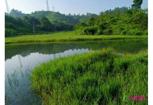 《福建省湿地保护修复制度实施方案》下发 《福建省湿地保护修复制度实施方案》下发