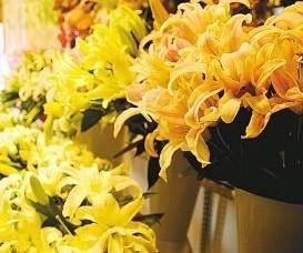 西安：受花卉大省大旱影响 鲜花价格翻了约一番（图）