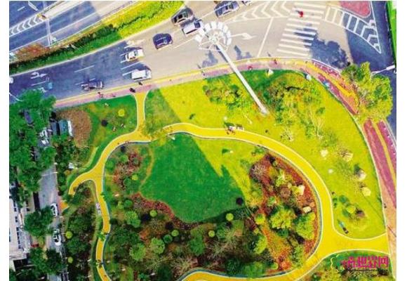 福建厦门:道路绿化景观改造 到4月底前将陆续完成 福建厦门:道路绿化景观改造 到4月底前将陆续完成