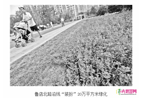 北京朝阳：石材市场变身马家湾湿地公园
