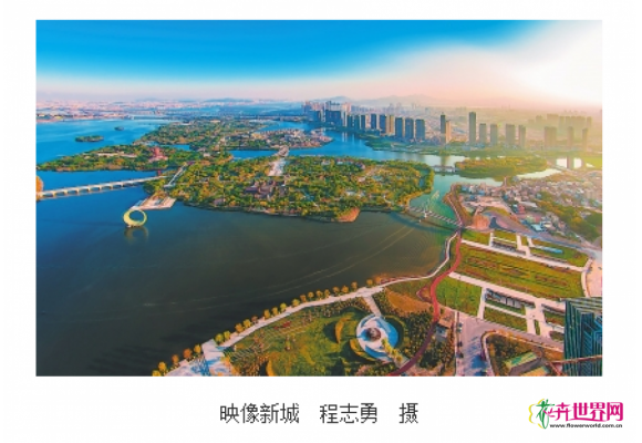 厦门为何成为高颜值的生态花园之城 厦门为何成为高颜值的生态花园之城