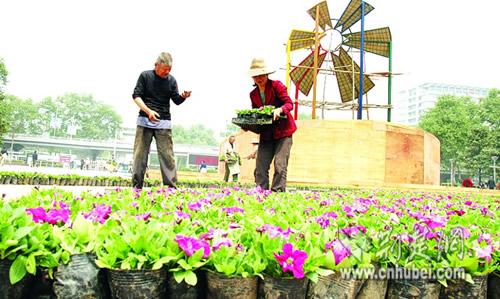 武汉300万盆鲜花迎嘉宾
