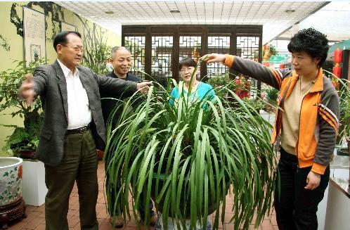 “军中花王”王延明花卉珍品展在北京举办