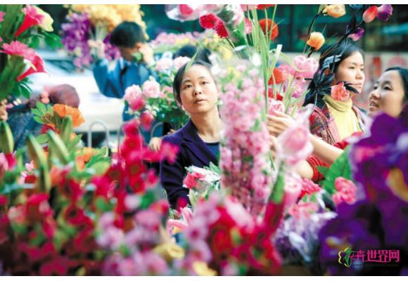 区级花市停办 种下花咋办 区级花市停办 种下花咋办