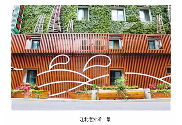 绿化“爬上墙” 宁波试点墙体垂直绿化