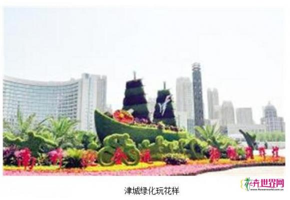 天津“玩转”立体绿化 美哭你