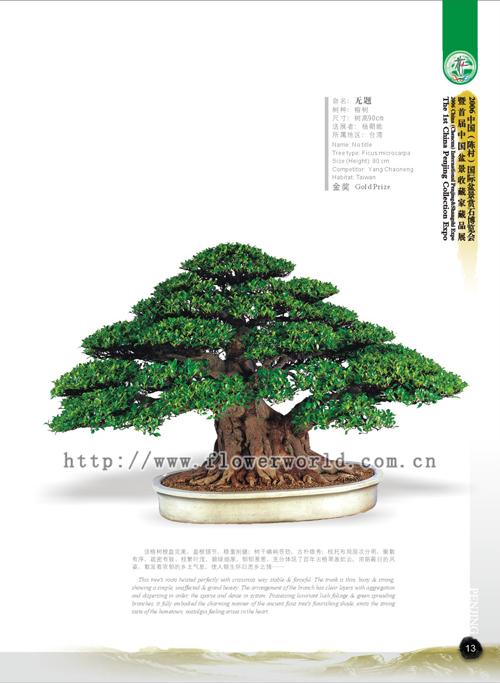 《景石藏秀 盛世华章--盆景篇》 