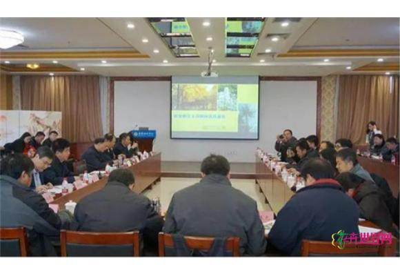 雄安新区列出“树种名录”建议 城市森林建设优先选择