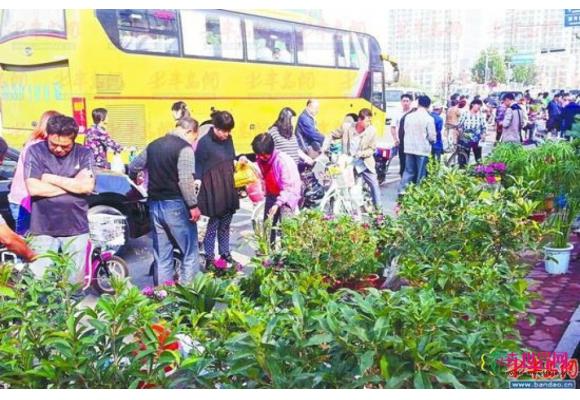 山东:花卉市场入秋“热”起来 山东:花卉市场入秋“热”起来