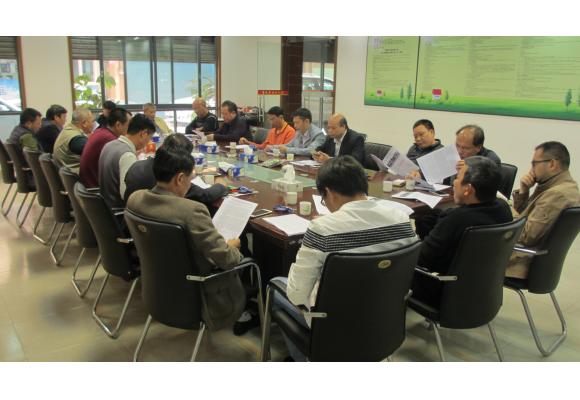 2016年副会长会议