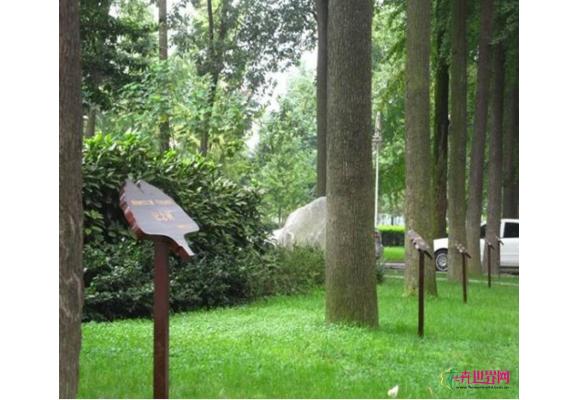西安:树木绿地认养活动首批100株树木昨挂牌 西安:树木绿地认养活动首批100株树木昨挂牌