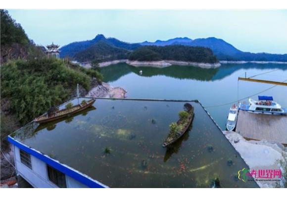 浙江现屋顶养鱼 植物小船成精致一景 浙江现屋顶养鱼 植物小船成精致一景
