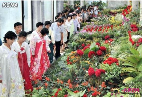朝鲜全国花卉展在平壤开幕 普及栽培技术 朝鲜全国花卉展在平壤开幕 普及栽培技术