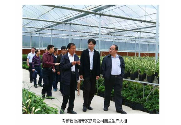我国首个出口国兰质量安全示范区在福建建成 我国首个出口国兰质量安全示范区在福建建成