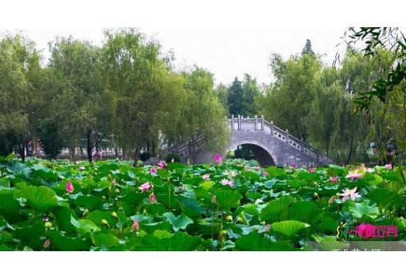 湖南岳阳跻身中国十佳绿色城市 建“水墨丹青”家园 湖南岳阳跻身中国十佳绿色城市 建“水墨丹青”家园