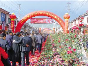 中国（大理）第六届茶花博览会光彩夺目 中国（大理）国际兰花博览会同时举行