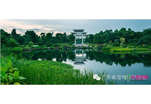 广东最美湿地由你定！